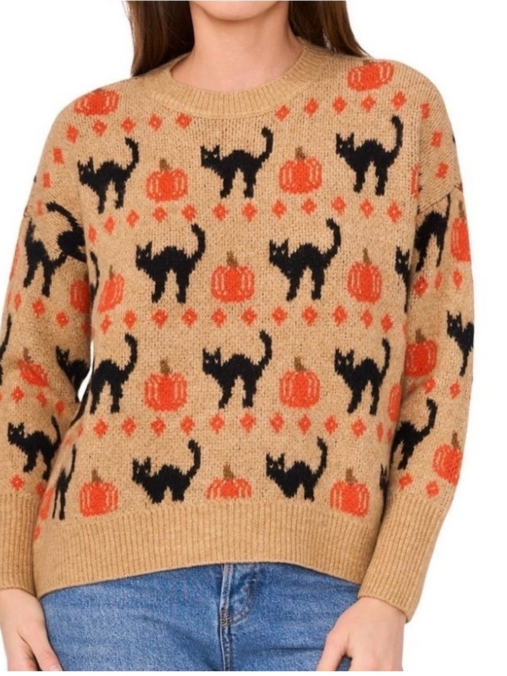 Cat & Pumpkin Halloween Sweater